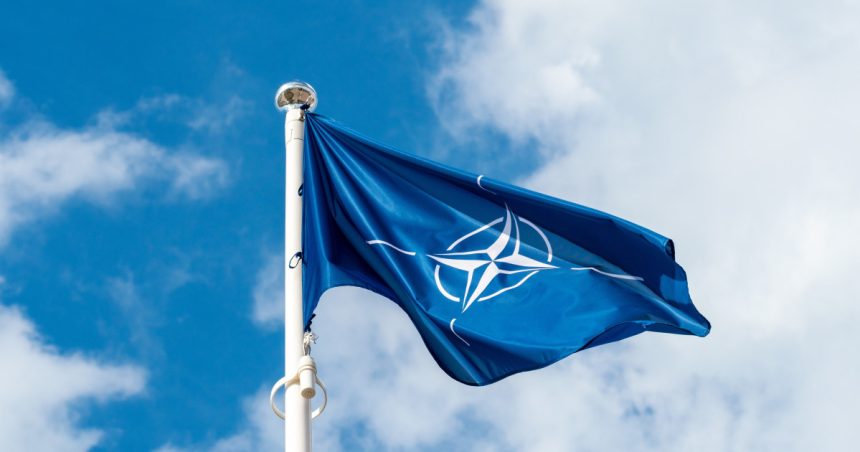 experta in securitate la urmatorul summit nato se va discuta despre alocarea a 3 35 din pib pentru aparare 67ab7104e0228