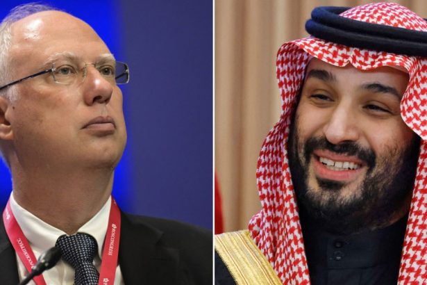 figurile implicate in negocierile sua rusia pentru eliberarea lui marc fogel printul mostenitor saudit si seful fondului suveran rus 67ad1b96c4ff3