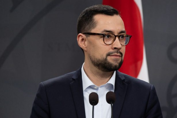 groenlanda organizeaza alegeri generale pe 11 martie pe fondul interesului aratat de donald trump pentru insula 67a3152ee916f