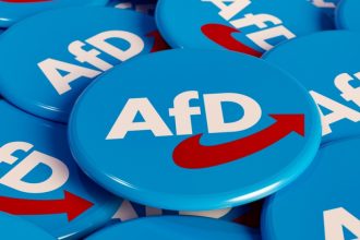 in campania electorala din germania au fost folositi influenceri creati cu inteligenta artificiala pentru a favoriza extrema dreapta 67b95b8defce5