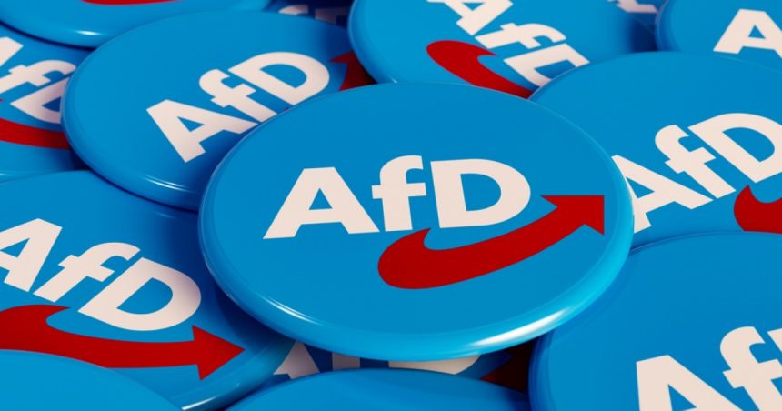 in campania electorala din germania au fost folositi influenceri creati cu inteligenta artificiala pentru a favoriza extrema dreapta 67b95b8defce5