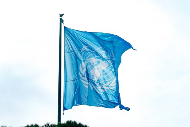 israelul se retrage din consiliul drepturilor omului al onu 67a4658bd625d