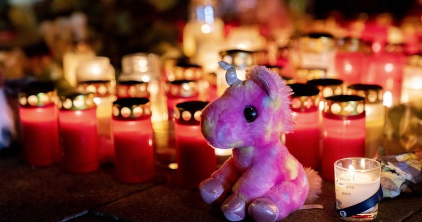 o femeie de 37 de ani si fiica ei de 2 ani au murit in atentatul de la munchen amel a fost un om care a luptat pentru dreptate 67b1e7b55acad
