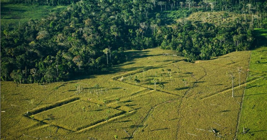orasele pierdute ale amazonului cum dezvaluie noile tehnologii metropole verzi ascunse in jungla de mii de ani 67b262c9630ec