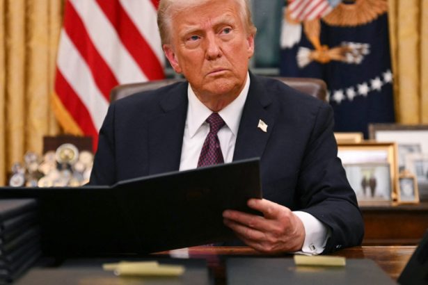 partidul democrat cauta o noua strategie pentru a supravietui in fata lui trump sa nu fim ca un caine care alearga dupa masini 679de93413c5c