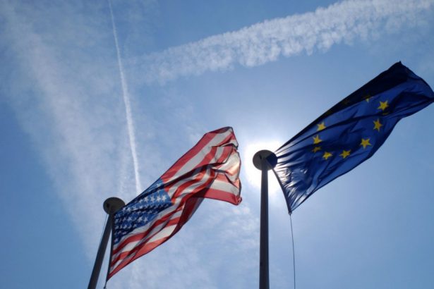 patru mari grupuri politice din pe spun ca europa nu mai poate fi dependenta de sua pentru a si apara interesele 67b5e46879800