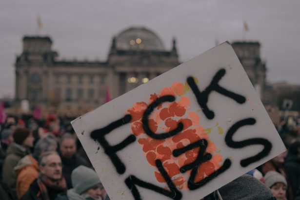 peste 50 dintre germani sustin cooperarea cu partidul extremist afd in problema imigratiei 67a38228f0221