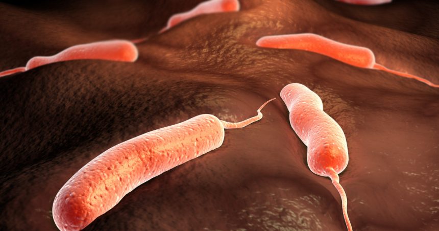peste o suta de morti din cauza unei epidemii de holera in angola unde s au inregistrat cele mai multe cazuri 67ab32eaaa14b