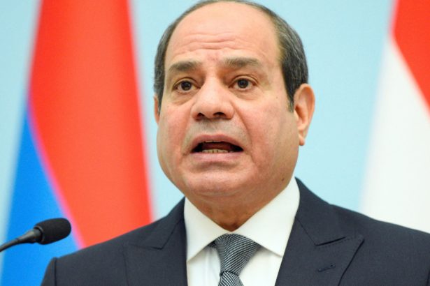 presedintele egiptului ii raspunde lui trump si cere ca palestinienii sa nu fie stramutati din fasia gaza 67ab6c56606a7