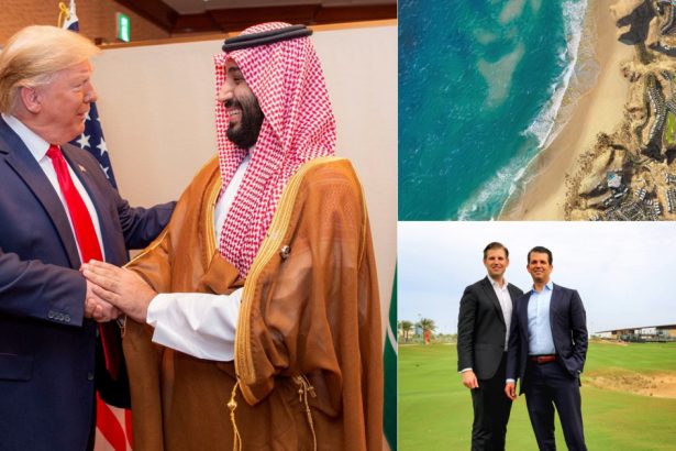 riviera din gaza si terenuri de golf in mijlocul desertului care sunt interesele de afaceri ale familiei trump in orientul mijlociu 67ac2c8c6ea82