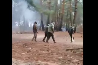 rusia isi recicleaza soldatii raniti trimisi in carje sa lupte inclusiv cu srapnel in ei doar pun niste unguent 67ba0a2930e57