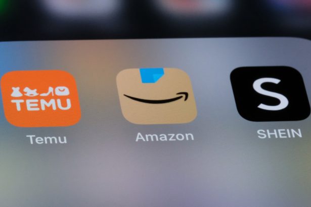 temu shein si amazon vor fi facute raspunzatoare de catre ue pentru bunurile nesigure sau periculoase vandute online 679f174c895c3