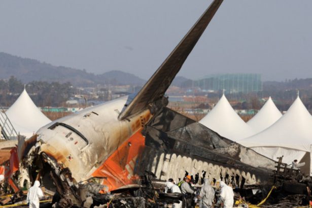 toate aeroporturile din coreea de sud trebuie sa instaleze camere de detectare a pasarilor dupa tragedia aviatica din decembrie 67a4bc385195d