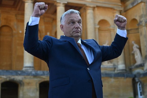 trebuie sa fie maturati viktor orban a cerut eliminarea completa a retelei soros 67a6032d16318
