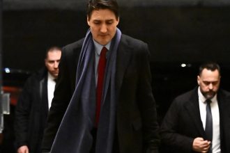 trump va suspenda taxele vamale impuse canadei pentru 30 de zile cum l a convins justin trudeau pe presedintele american 67a1b7fca20f6
