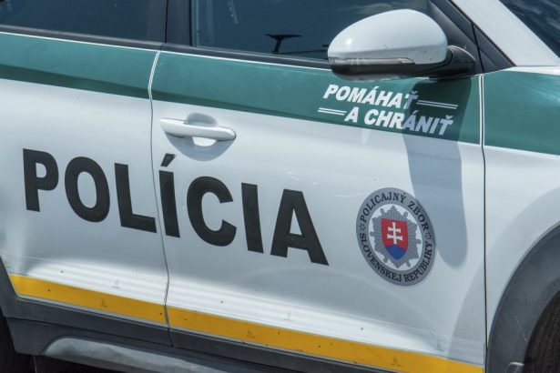 un ucrainean acuzat ca are legaturi cu serviciile de informatii de la kiev a fost expulzat din slovacia 67b59d2c42911