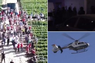 video 52 de romani transformati in sclavi in spania au fost eliberati cum un grup infractional format din romani isi pacalea victimele 67a5aff85b81b