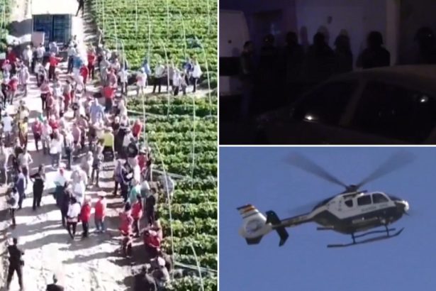 video 52 de romani transformati in sclavi in spania au fost eliberati cum un grup infractional format din romani isi pacalea victimele 67a5aff85b81b