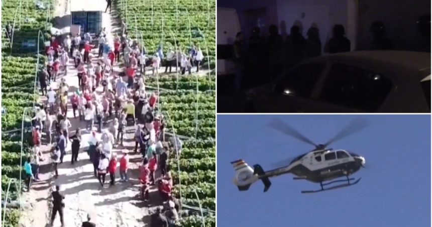 video 52 de romani transformati in sclavi in spania au fost eliberati cum un grup infractional format din romani isi pacalea victimele 67a5aff85b81b