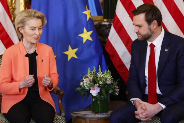 video confruntare sua ue la summitul ai de la paris ce mesaje au transmis ursula von der leyen si j d vance 67aba97b22d40