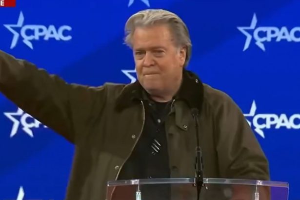 video steve bannon fost consilier al lui trump a facut salutul nazist la o conventie a conservatorilor din sua luptati luptati luptati 67b8af4c3aecb