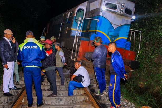 video un tren a lovit o turma de elefanti in sri lanka sase animale au murit in cea mai grava coliziune de acest tip din tara asiatica 67b723295728c