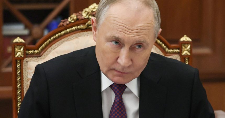zelenski putin cauta sa si instaleze marioneta la carma ucrainei cum a facut in belarus si georgia intotdeauna procedeaza asa 67a349f27fa3d