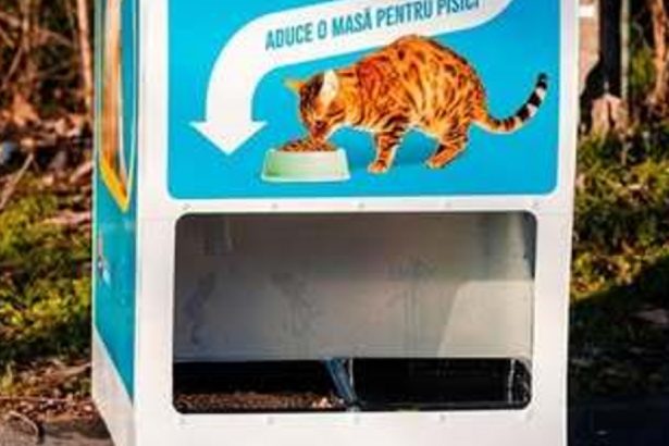 automatele care elibereaza mancare pentru pisici in schimbul reciclarii au asigurat 2 000 de portii de hrana in doua luni 67df96bf97181