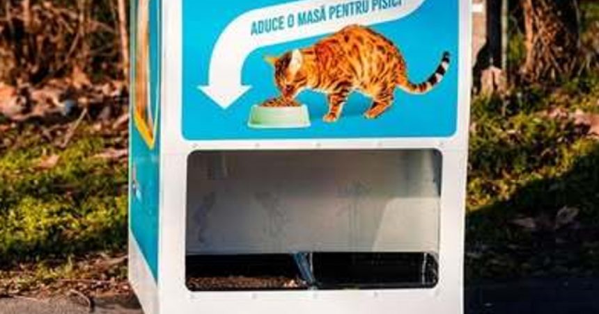automatele care elibereaza mancare pentru pisici in schimbul reciclarii au asigurat 2 000 de portii de hrana in doua luni 67df96bf97181