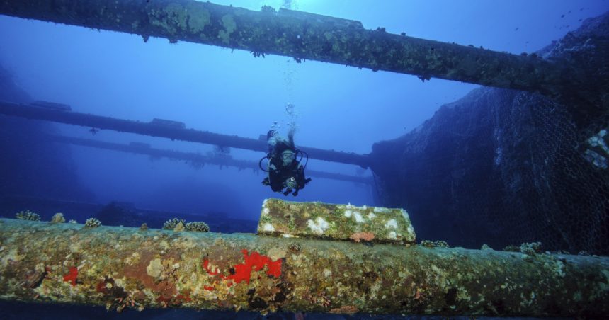 china a dezvoltat un robot capabil sa taie cabluri submarine e eficient impotriva cablurilor blindate pana la 4 000m adancime 67e16c6f9de6a