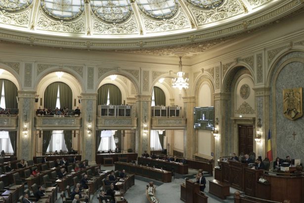 decizie luata in senat privind proiectul de lege care pedepseste soferii aflati la volan sub influenta substantelor psihoactive 67eac923588e3
