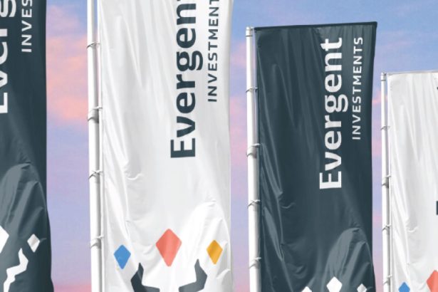 evergent investments raporteaza un rezultat net de 26366 milioane lei in 2024 in crestere cu 29 fata de 2023 67c575eaebc0b