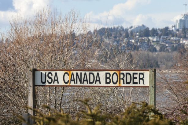 fox news dezbate subiectul afluxului de imigranti romani ilegali din sua rolul jucat de canada 67e2dd92a413c