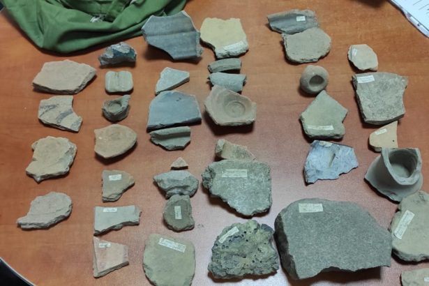 galerie foto femeie din iasi prinsa cand vindea in talcioc vestigii arheologice din perioada dacica cu sume cuprinse intre 3 si 5 lei 67e03876f4058
