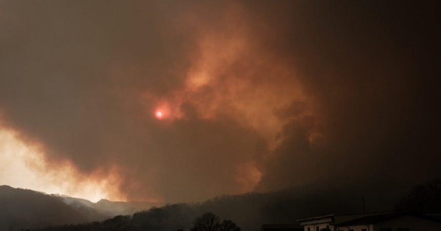 incendii devastatoare in coreea de sud cel putin patru persoane au murit dintre care trei pompieri 67e17a807c9a9