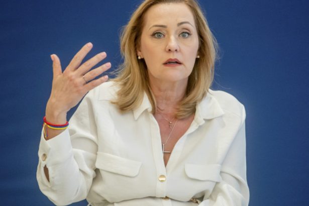 motivul pentru care elena lasconi cere inchiderea tiktok macar cu o saptamana doua inainte de prezidentiale 67e065f5bc35e