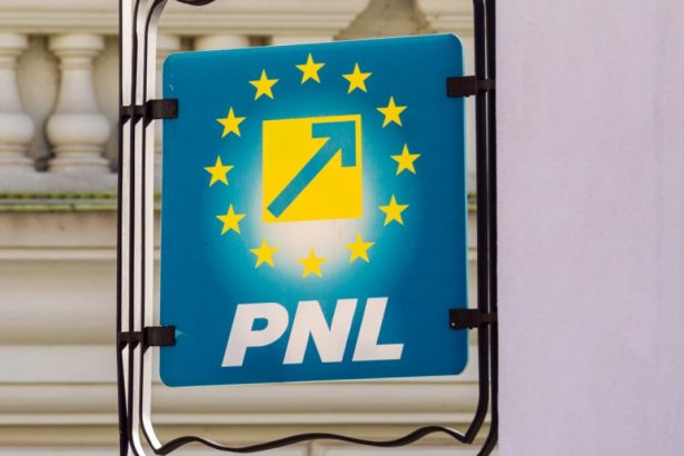pnl despre decizia sua e vorba despre o amanare temporara si nu o decizie permanenta acuzatiile la adresa pot si aur 67e301edb81c6