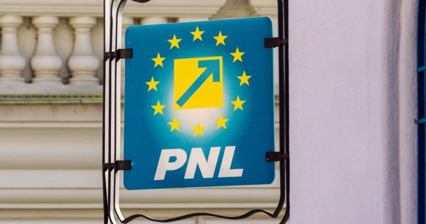 pnl despre decizia sua e vorba despre o amanare temporara si nu o decizie permanenta acuzatiile la adresa pot si aur 67e301edb81c6