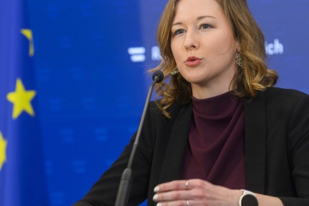 premiera in ue austria va suspenda regruparea familiala a refugiatilor cum motiveaza viena decizia 67e4329948ac9