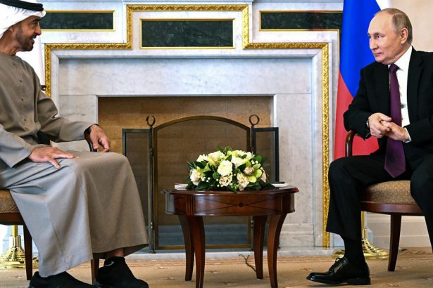putin a vorbit la telefon cu presedintele emiratelor arabe unite despre ce au discutat cei doi 67e16caaa08d8