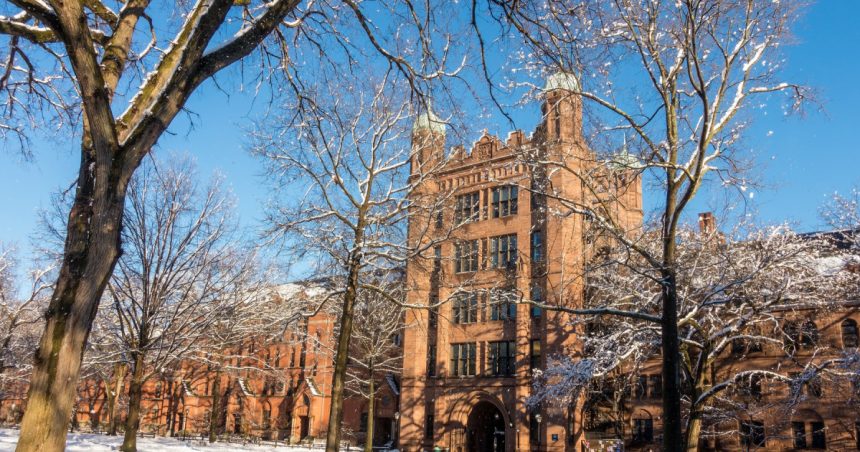 trei profesori renumiti de la universitatea yale vor sa paraseasca sua de frica unui razboi civil este pur si simplu fascism 67ea30906bffe