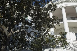 trump anunta ca taie un copac istoric plantat acum aproape 200 de ani la casa alba pun in loc un alt arbore foarte dragut 67ea8e51198c8
