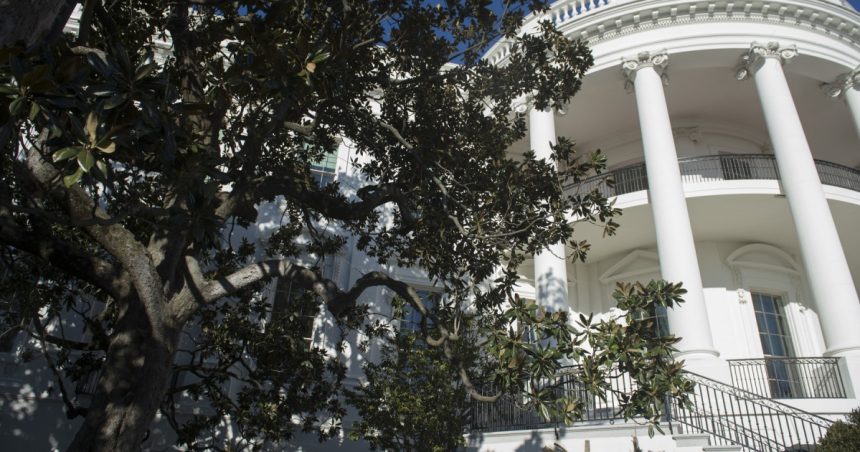 trump anunta ca taie un copac istoric plantat acum aproape 200 de ani la casa alba pun in loc un alt arbore foarte dragut 67ea8e51198c8