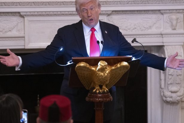 trump vrea tot sua cer ucrainei 100 din veniturile obtinute din resursele naturale plus dobanda 67e691a0abb2a