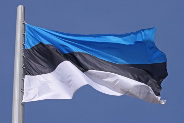 un cetatean ruso estonian a fost condamnat pentru inalta tradare ce acuzatii i au adus procurorii de la tallinn 67e3bffb57315