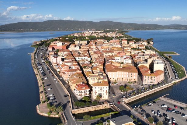 un oras din toscana vrea sa declare stare de urgenta din cauza tantarilor suntem izolati in case asa cum am fost in pandemie 67de95df65923