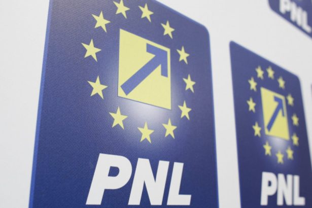 un primar liberal care a anuntat ca l sustine pe nicusor dan exclus din partid 67e579c9031e4