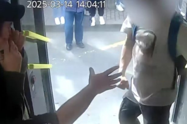 video val de incidente violente in transportul public soferi agresati autobuze si tramvaie vandalizate imagini cu cele mai recente cazuri 67e409d0c458f