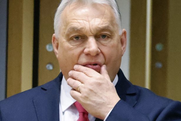 viitorul guvern al germaniei a sosit momentul sa il pedepsim pe orban 67ea40f780f97
