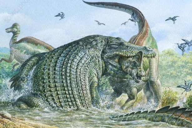 cum a ajuns crocodilul teribil un urias mancator de dinozauri vorbim despre un animal absolut monstruos studiu 680ea0b69b4f7